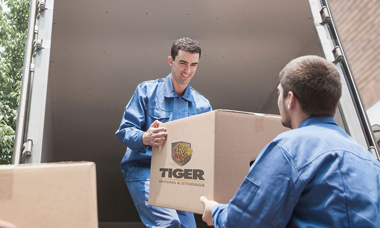 tiger movers nj